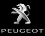 Peugeot   308   Kompletan auto u delovima